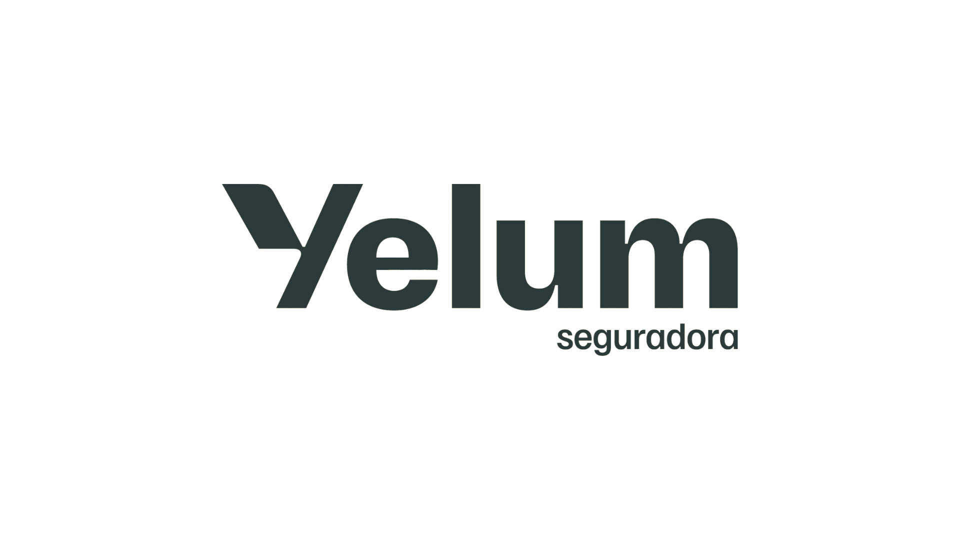Logotipo da Yelum, uma seguradora, com o nome em letras estilizadas e a palavra 'seguradora' em destaque.